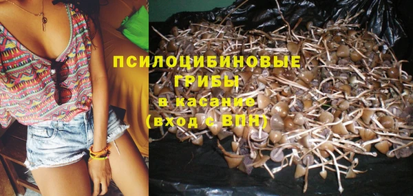 а пвп мука Горно-Алтайск