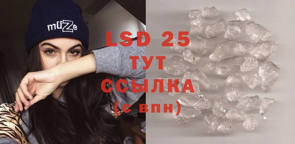 ПСИЛОЦИБИНОВЫЕ ГРИБЫ Горняк