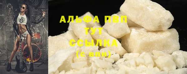 ПСИЛОЦИБИНОВЫЕ ГРИБЫ Горняк