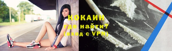 ПСИЛОЦИБИНОВЫЕ ГРИБЫ Горняк