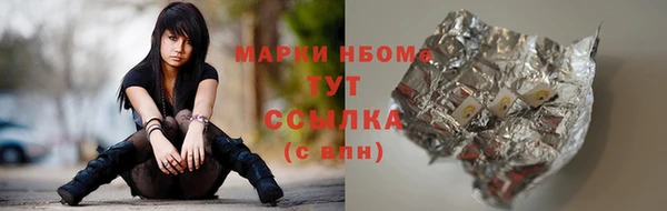 ПСИЛОЦИБИНОВЫЕ ГРИБЫ Горняк
