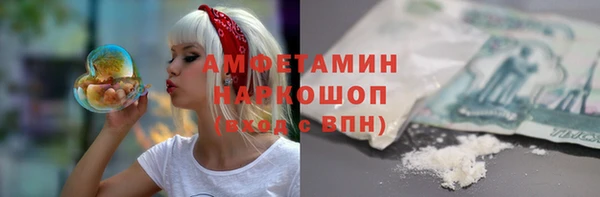 ПСИЛОЦИБИНОВЫЕ ГРИБЫ Горняк
