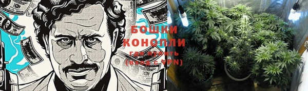 ПСИЛОЦИБИНОВЫЕ ГРИБЫ Горняк