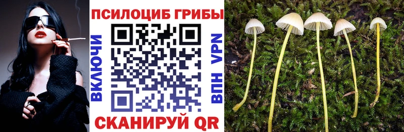 Галлюциногенные грибы мухоморы Владикавказ